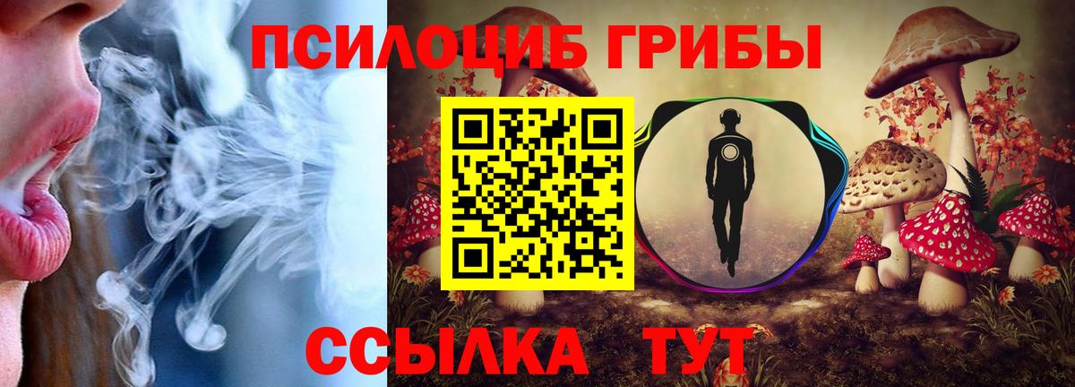 Псилоцибиновые грибы прущие грибы Ейск